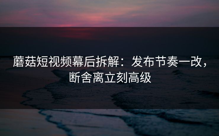 蘑菇短视频幕后拆解：发布节奏一改，断舍离立刻高级